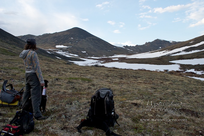 backpacking Alaska with wolves