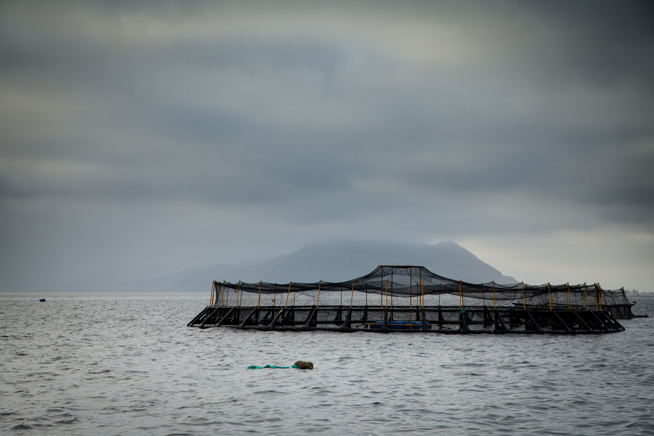 aquaculture nets